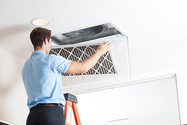 Best Air Filters and Purifiers in Felton, CA